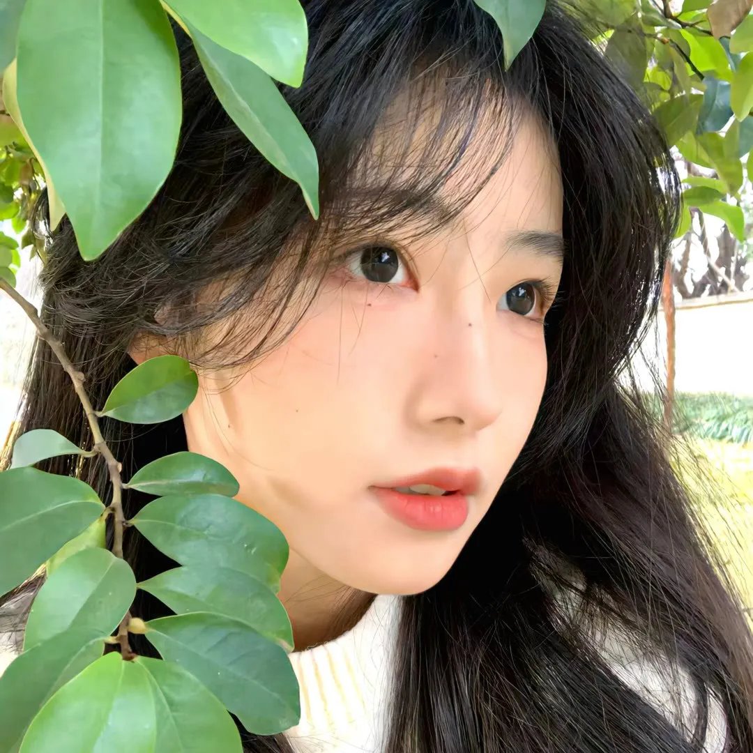 联邦调查局第五季